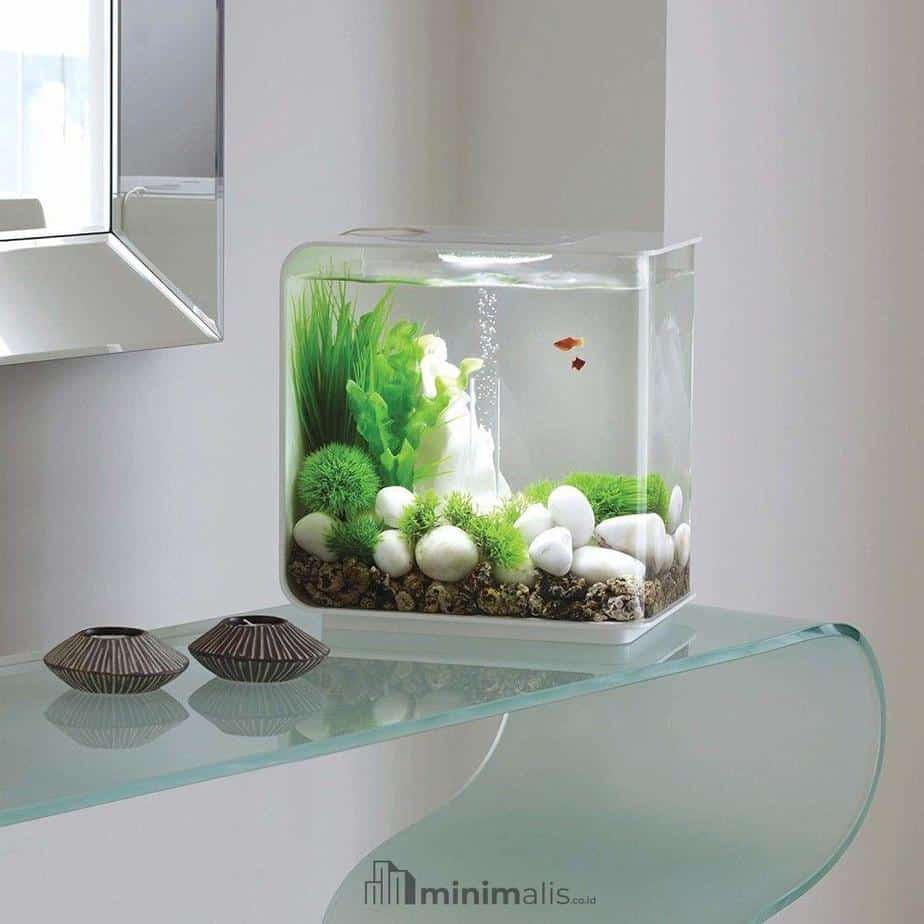 Aquarium Minimalis Kecil