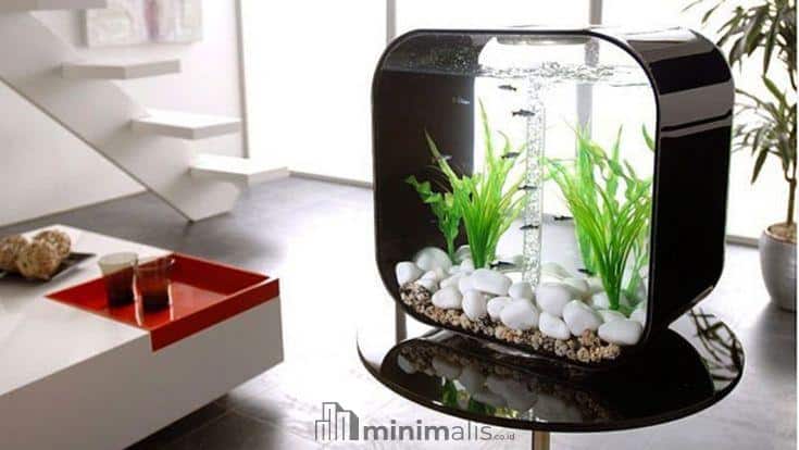 Aquarium Minimalis Unik