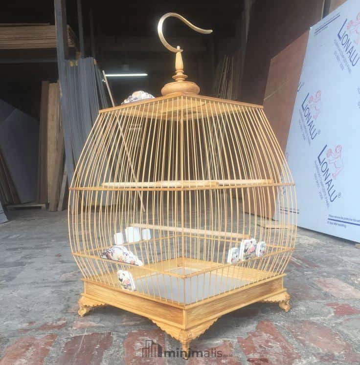 Sangkar Burung Ciblek yang Baik