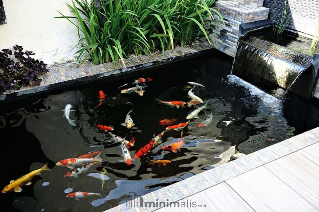 bentuk kolam ikan air terjun