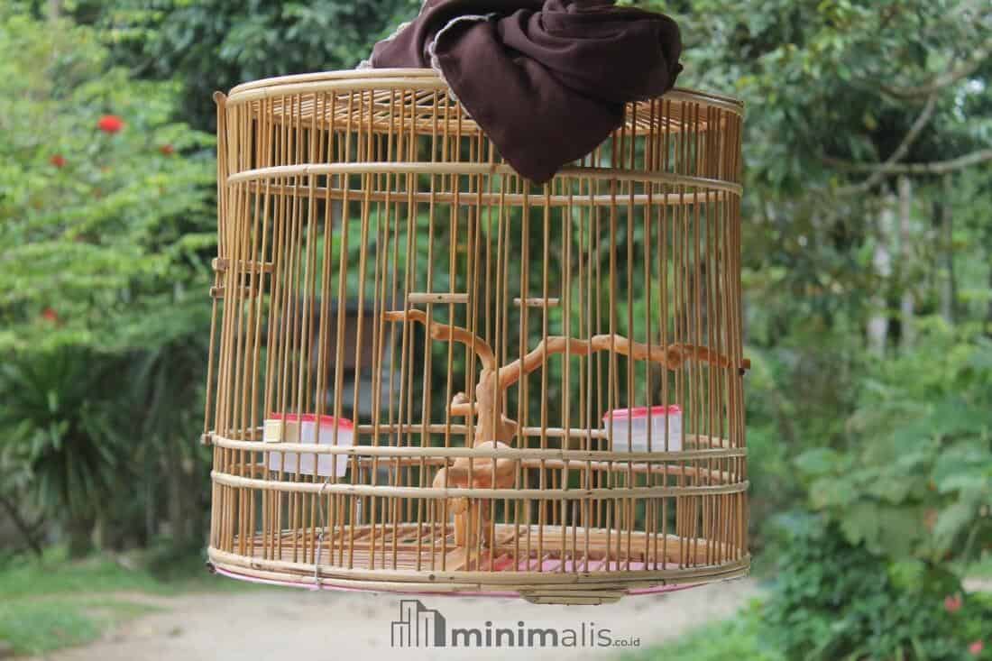 sangkar burung kolibri dan tempat makan