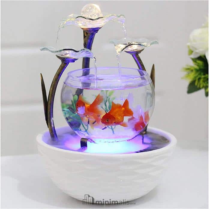 Aquarium Hias Mini