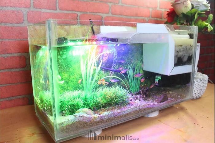 Bentuk Aquarium Filter Samping