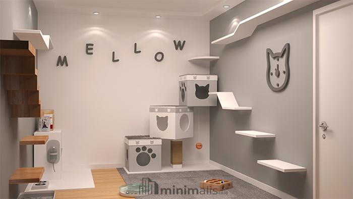 Kamar Kucing Lucu