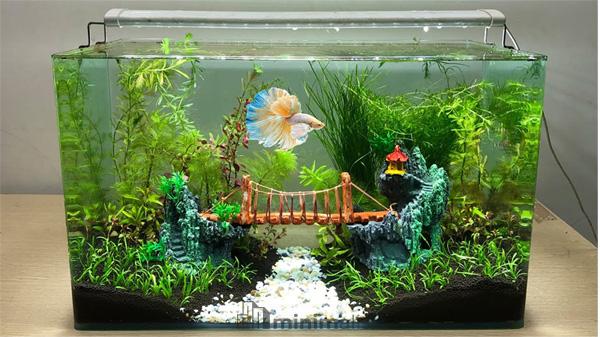 Model Aquarium Sederhana