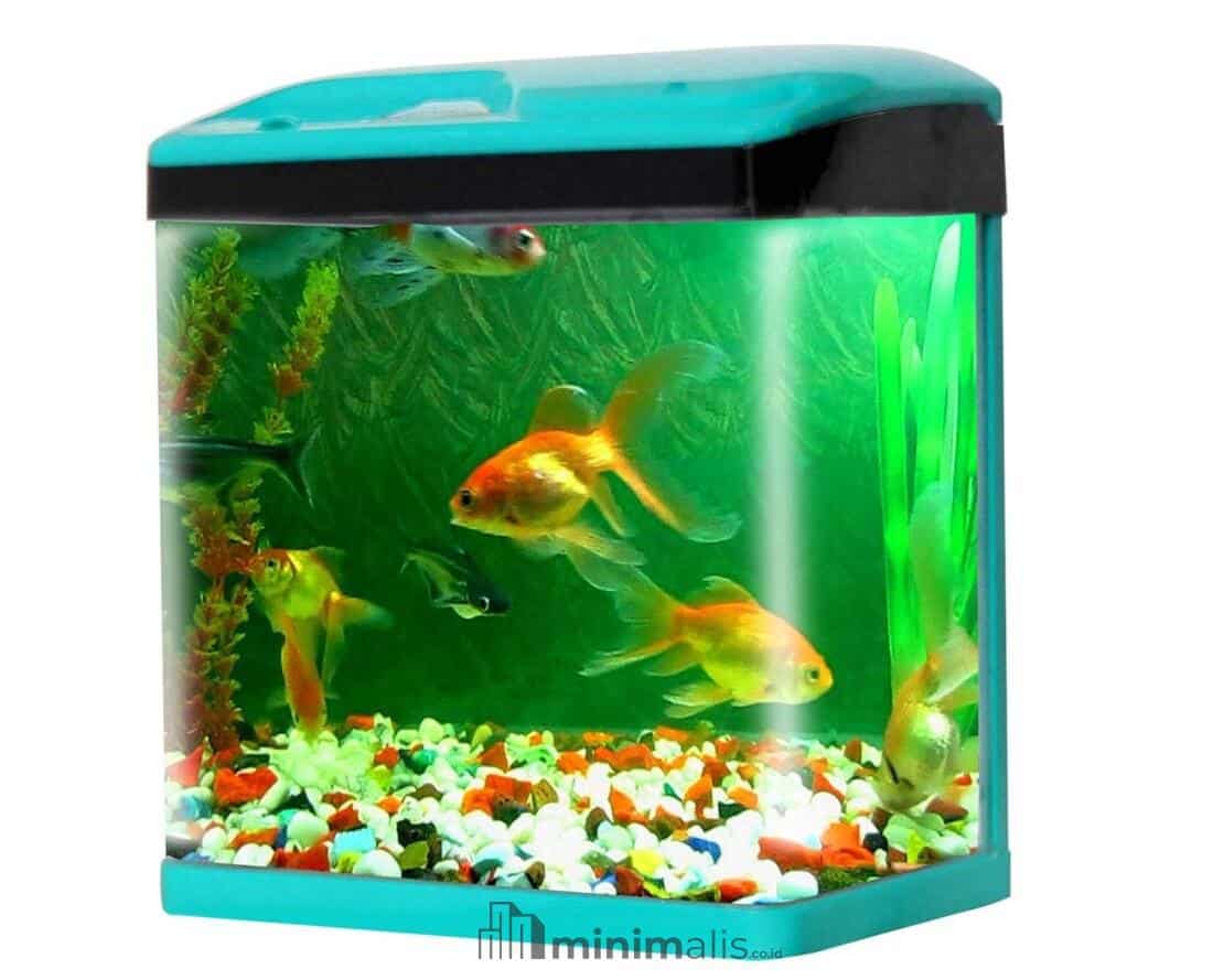 Model Hiasan Aquarium Mini