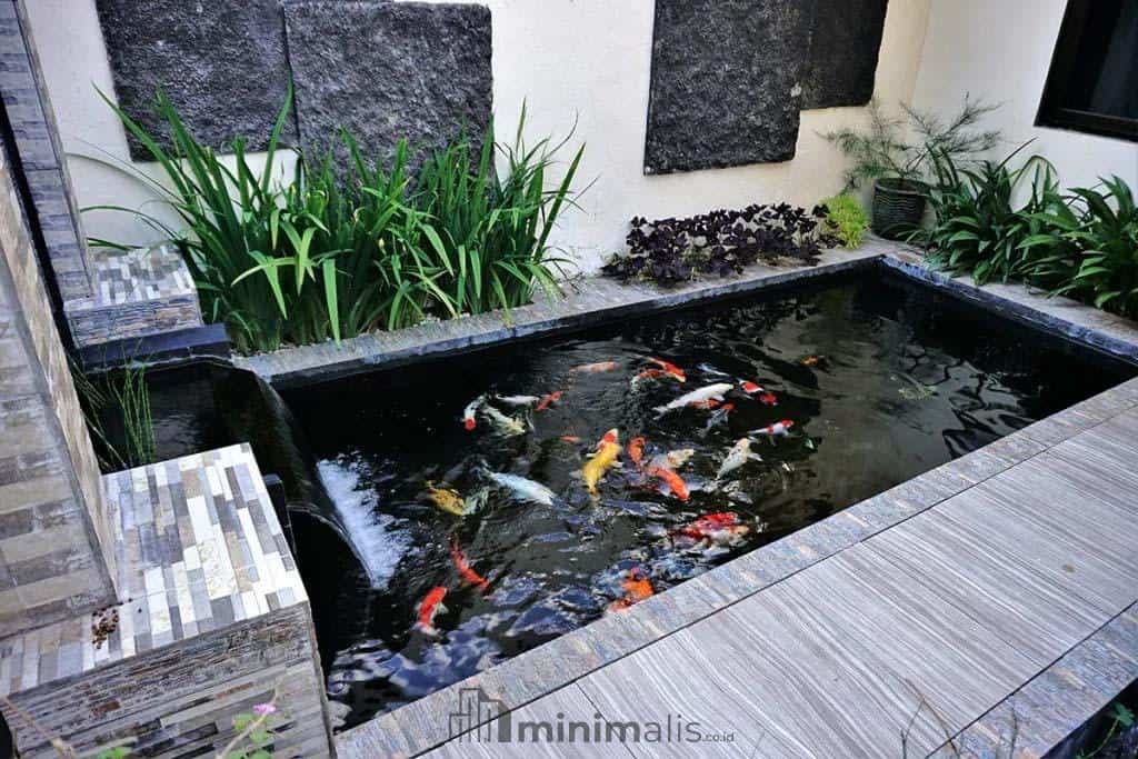 Tanaman Pinggir Kolam Ikan