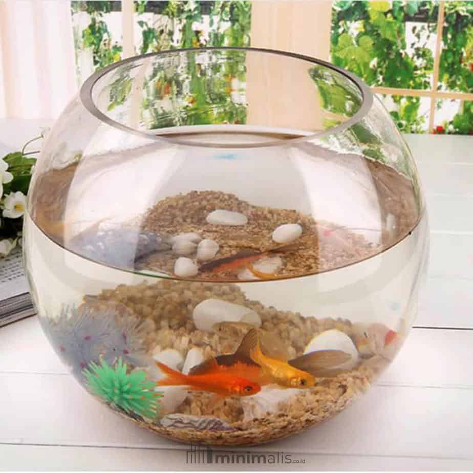 hiasan aquarium mini bulat