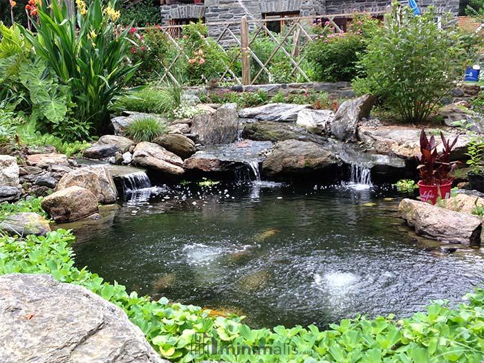 Kolam Ikan Batu Kali dan Air Terjun