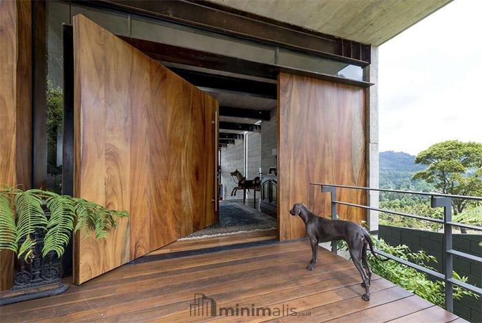 inspirasi pintu rumah unik