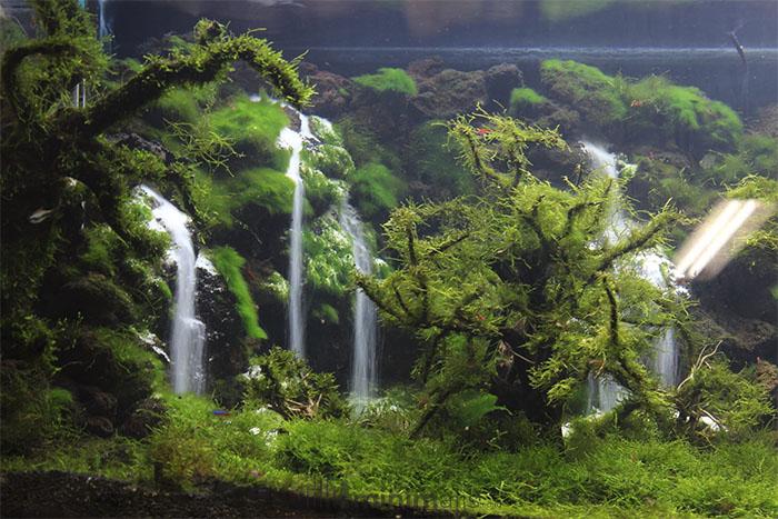 air terjun aquascape