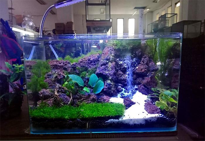 aquascape air terjun terindah