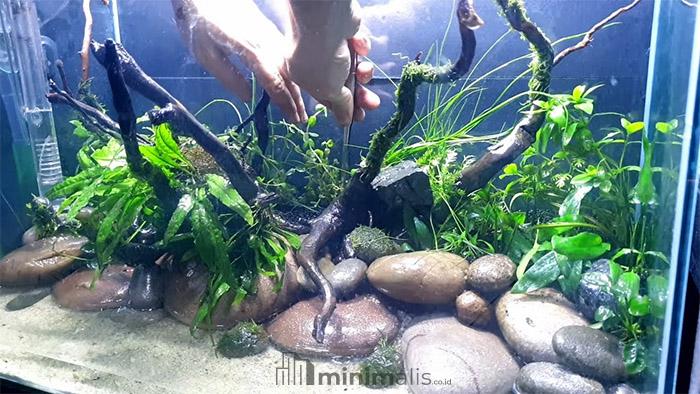 aquascape batu kali