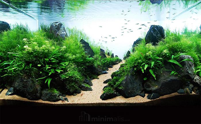 aquascape batu pasir