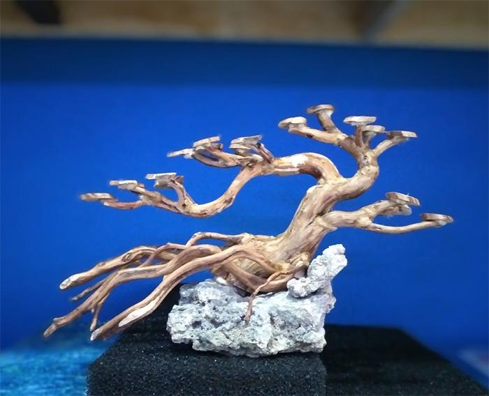 aquascape bonsai dan batu