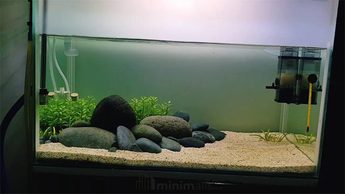 aquascape minimalis batu kali