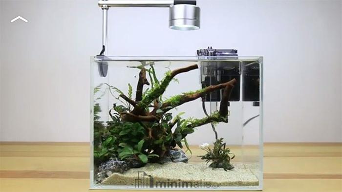 aquascape sederhana