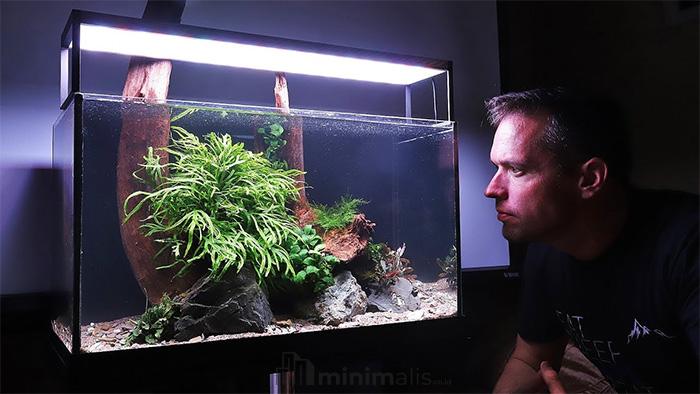 aquascape simple