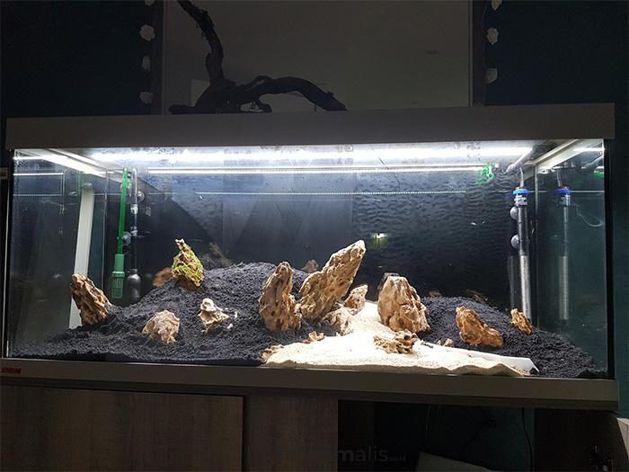 batu aquascape