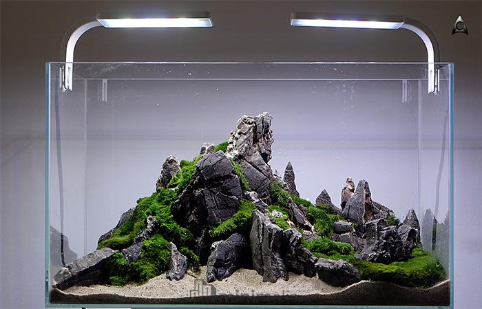 hardscape aquarium