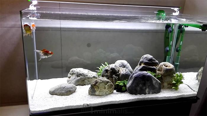 harga aquarium kaca