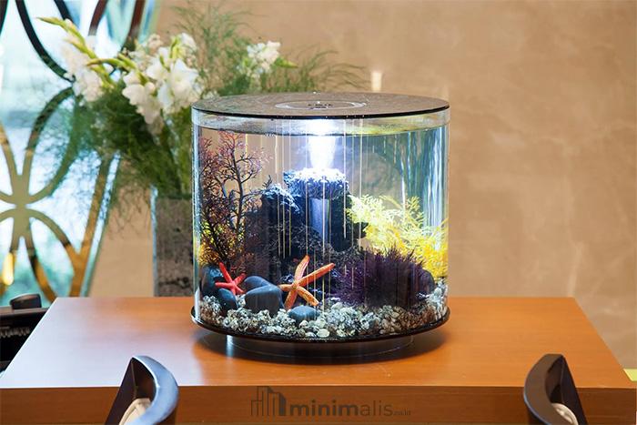 harga aquarium kecil