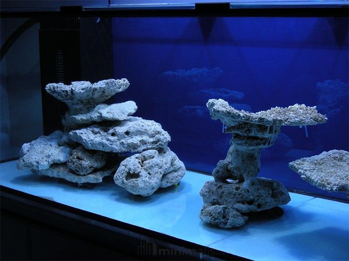 modal aquascape